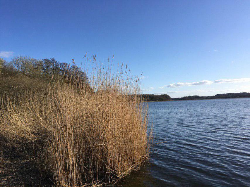 Ferienwohnung Am Noor Nahe Schleswig Und Dem Wikingerdorf Haithabu Fahrdorf  المظهر الخارجي الصورة