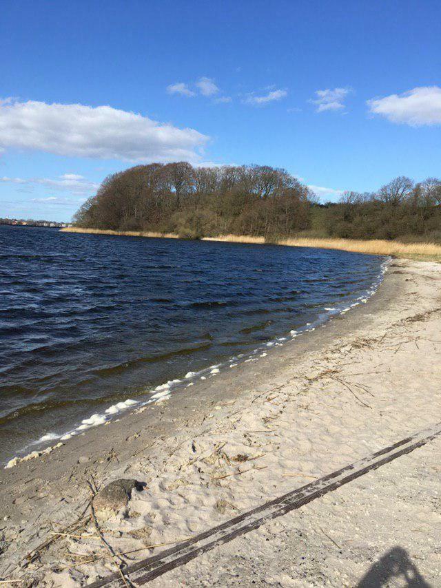 Ferienwohnung Am Noor Nahe Schleswig Und Dem Wikingerdorf Haithabu Fahrdorf  المظهر الخارجي الصورة