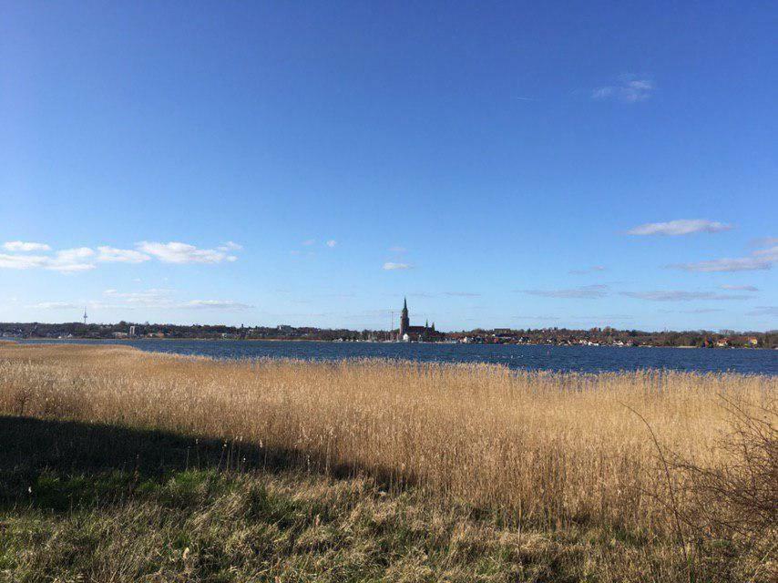 Ferienwohnung Am Noor Nahe Schleswig Und Dem Wikingerdorf Haithabu Fahrdorf  المظهر الخارجي الصورة